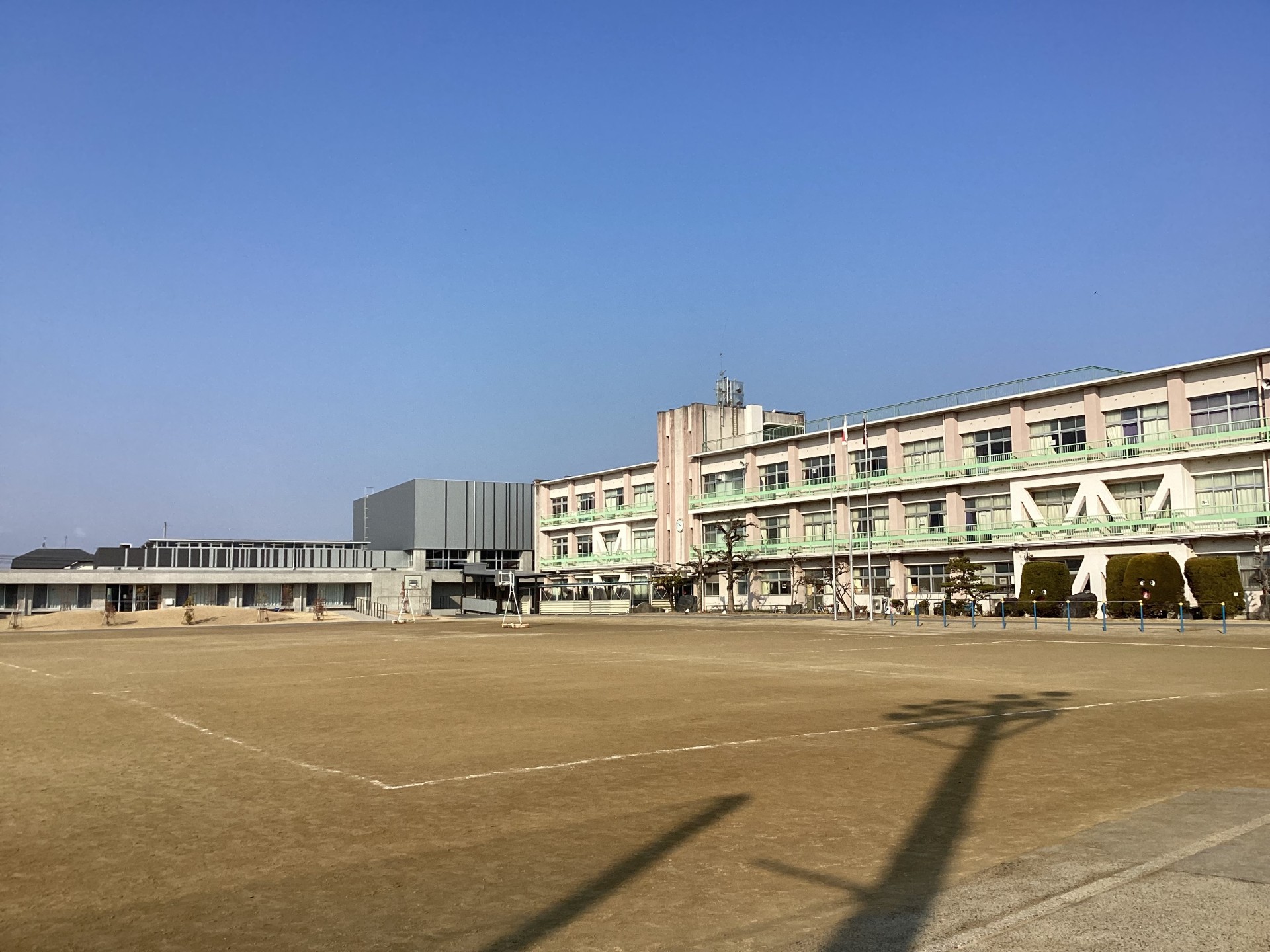 学校全体